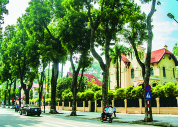 Một số vấn đề về thiết kế đường phố