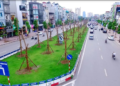 Dải phân cách